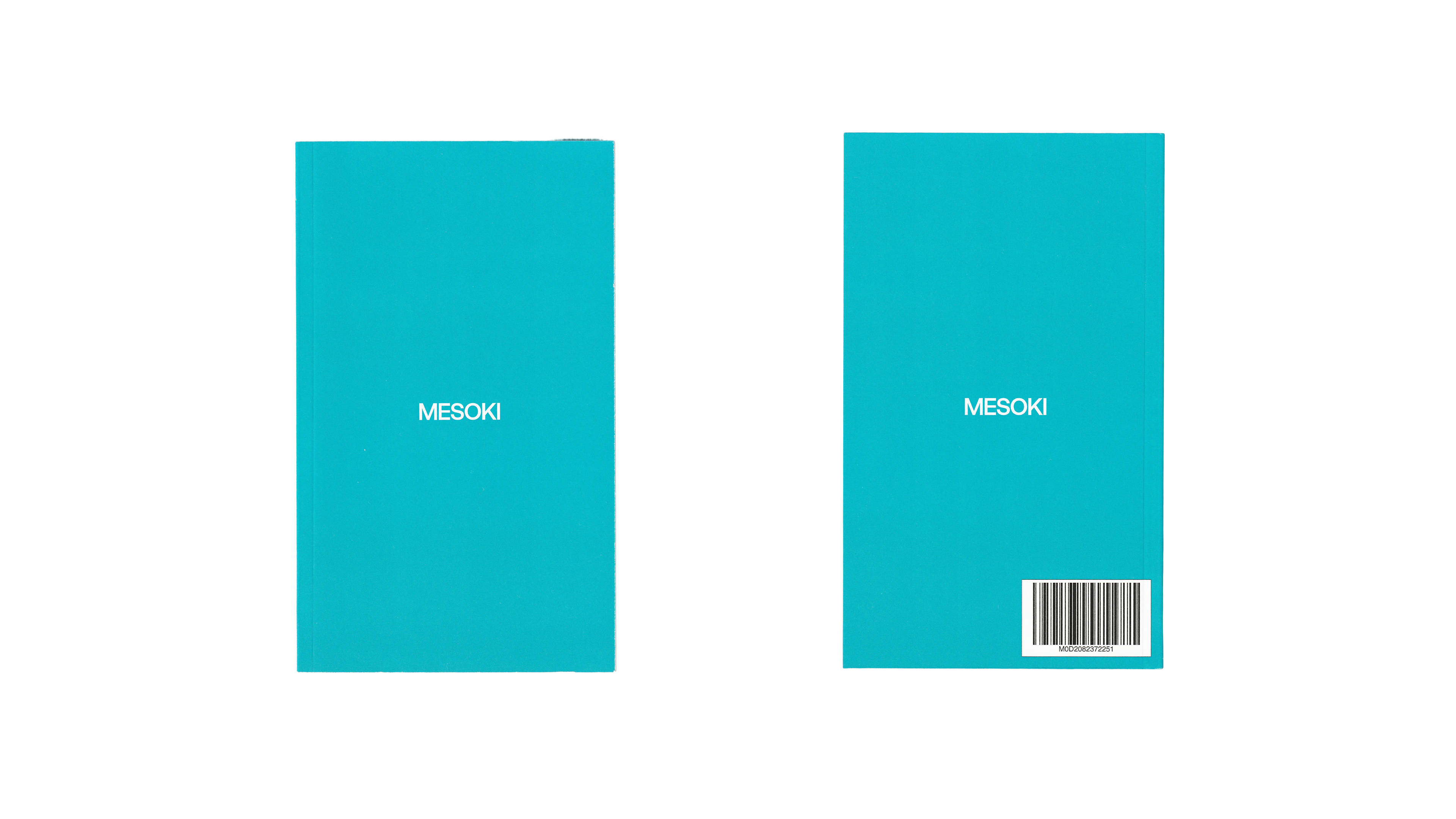 mesoki